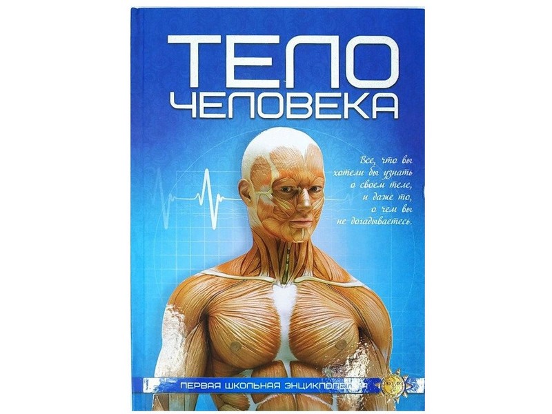 Энциклопедия. Для детей. Тело человека, А4, 978-9-663-41631-1