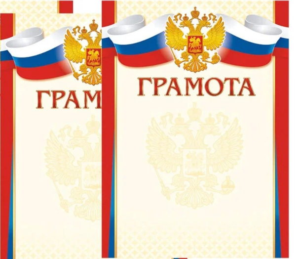 Грамота А4, спортивная, Линия Успеха, картон, ассорти, (20 шт;уп)