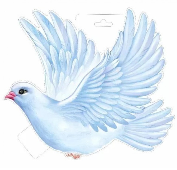 Снимок экрана 2026-05-13 111650